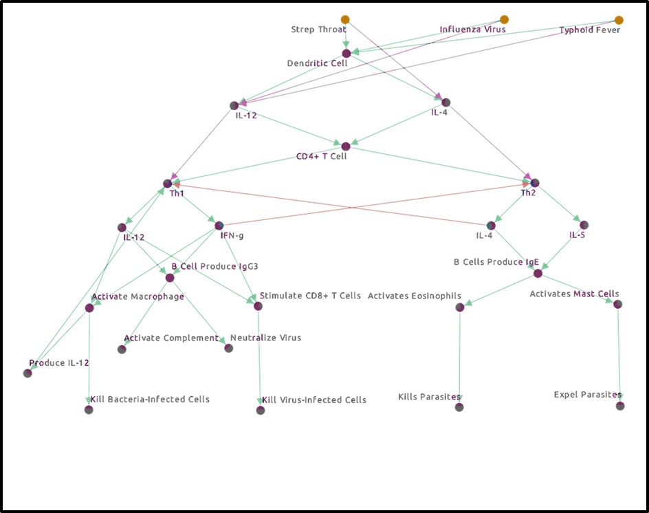 Modeling the cytokines and the adaptive immune response to pathogens