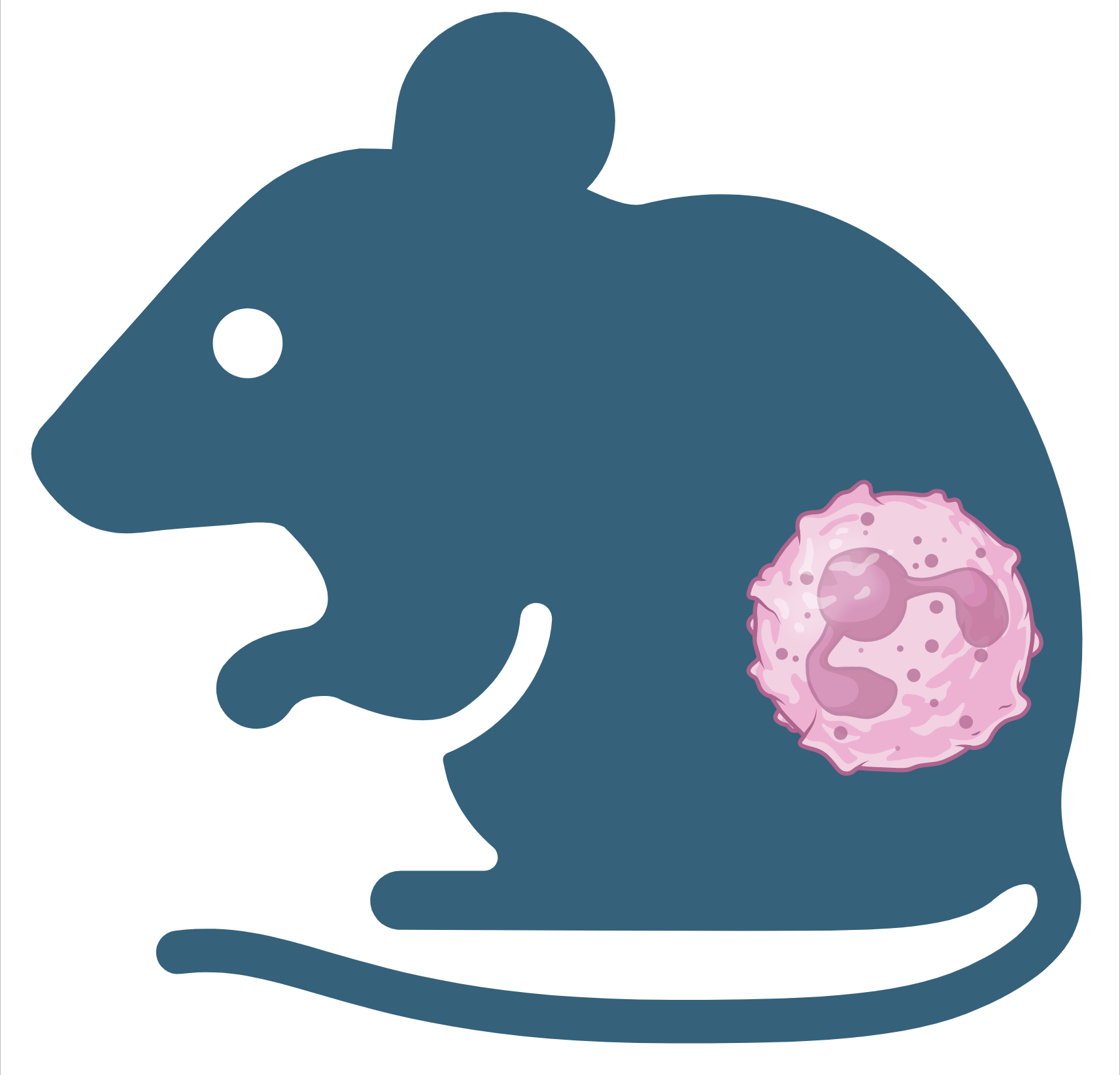 Analyzing Data on Behavioral and Immunological Effects of Inflammation in Mice