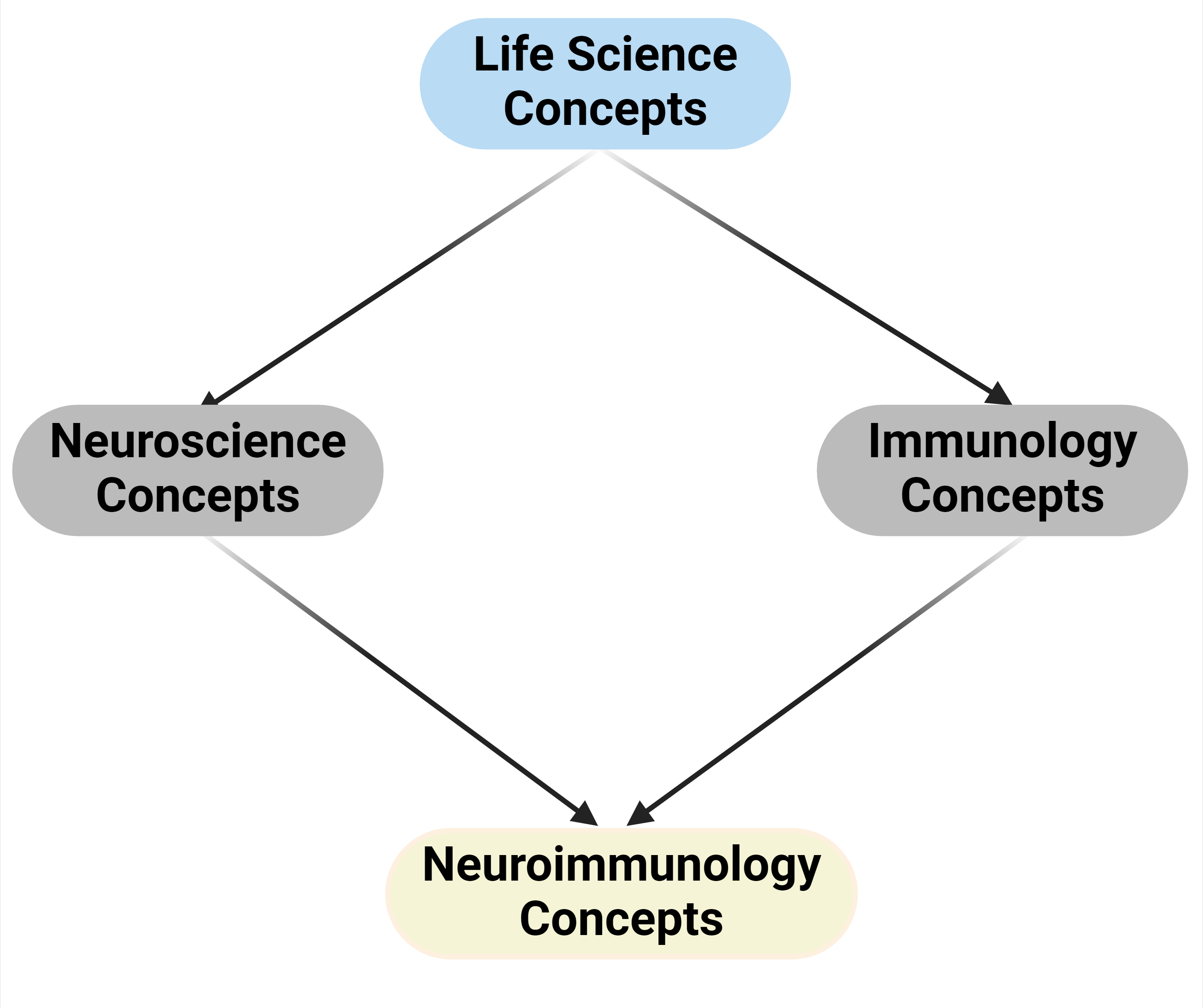 Neuroimmunology Pedagogical Resources Database