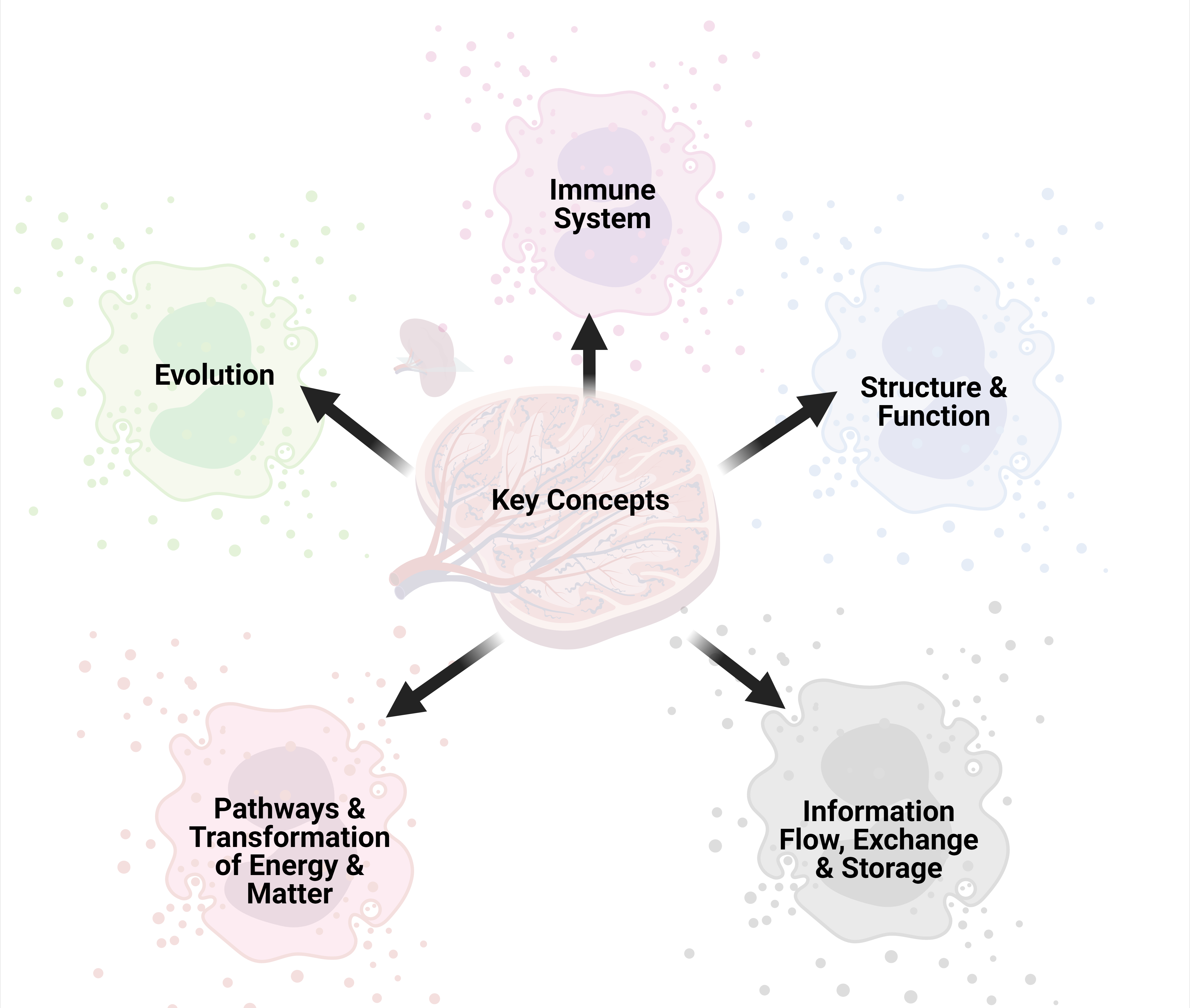 The ImmunoCore Guide