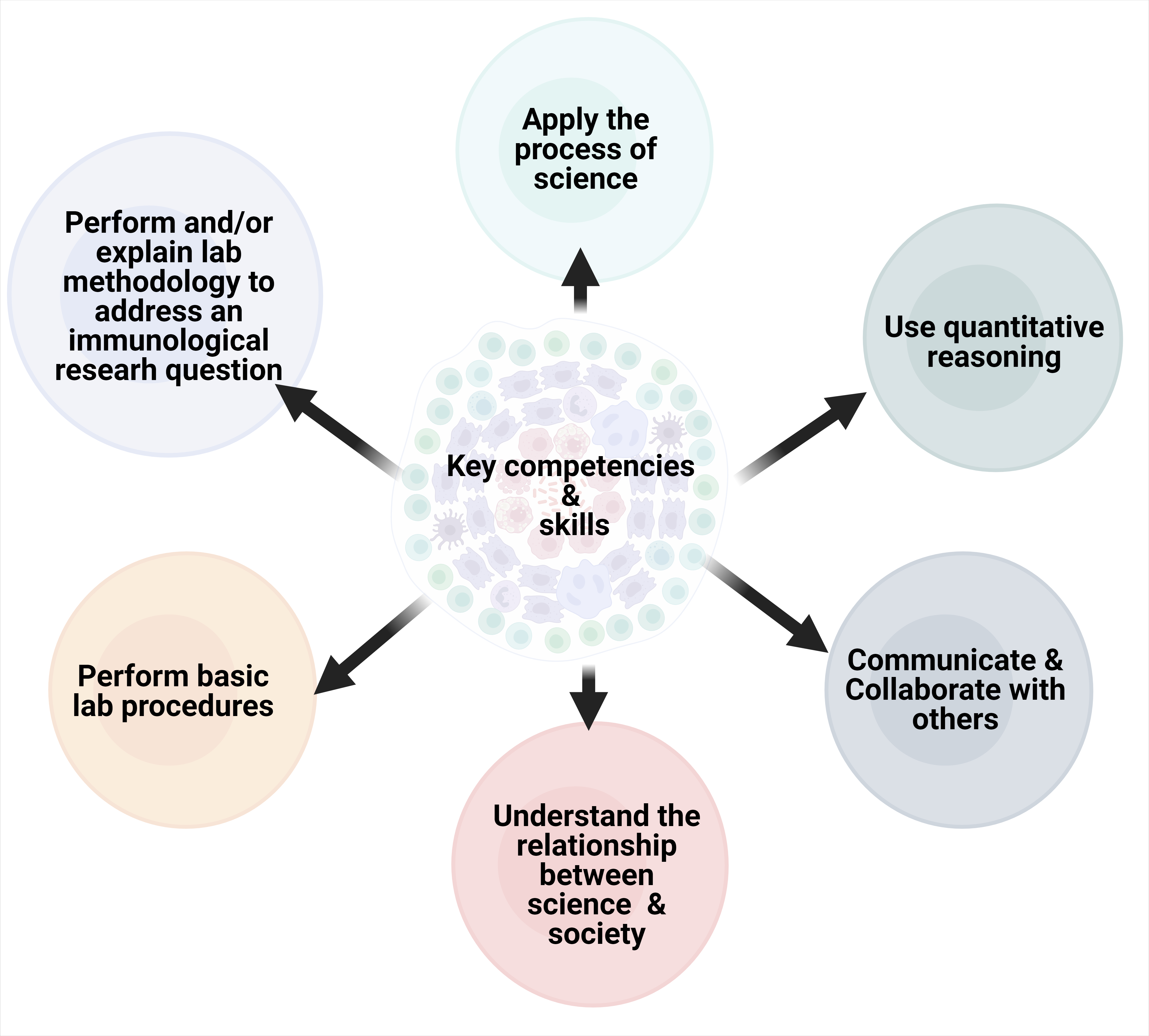 The ImmunoSkills Guide