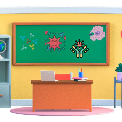 Inside the Undergraduate Immunology Classroom: Current Practices that Provide a Framework for Curriculum ConsensusJust a moment...