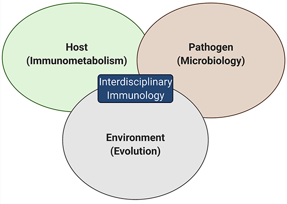 Immunology Topics To Teach in Undergraduate Education