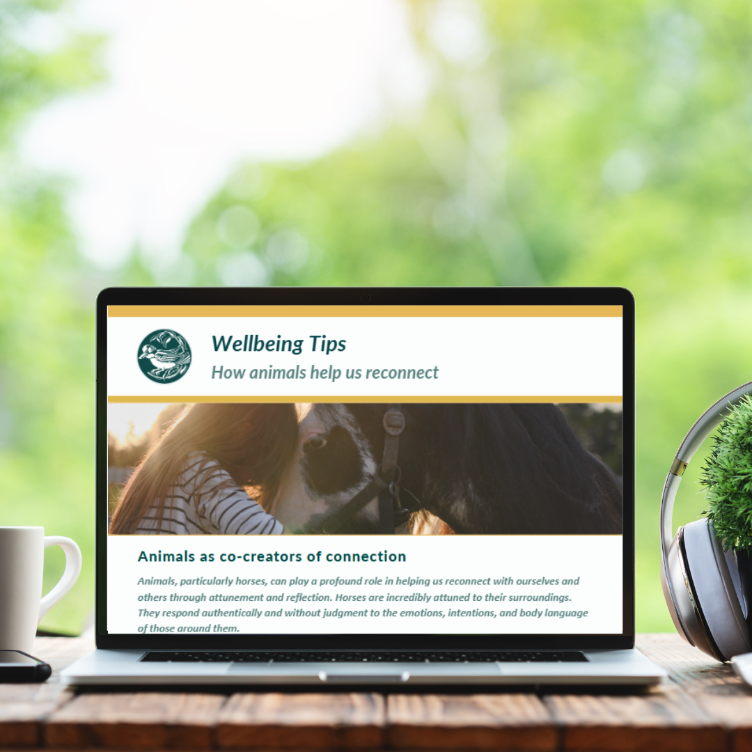 Wellbeing tips - how animals help us reconnect