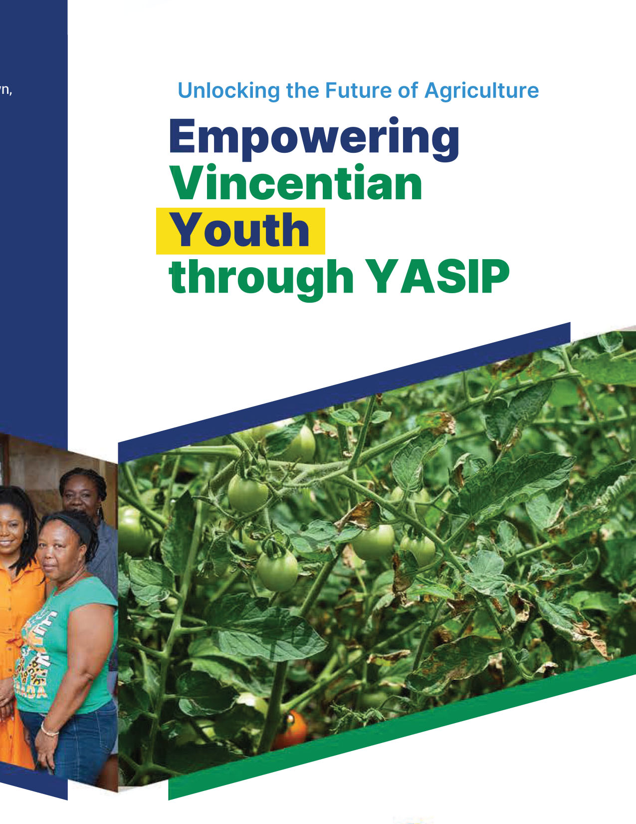 YASIP Brochure