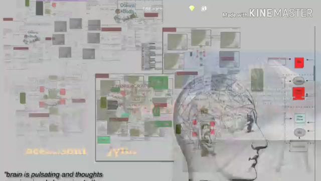 vhttps://www.videotopage.com/p/d72aec8c-3578-48b5-b418-1840d30f3f2f/introduction-to-hawaiian-metaphors-in-language