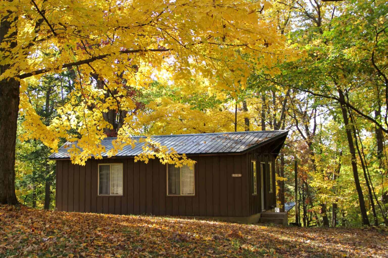 A brown summer camp cabin in the woods of Iowa.
