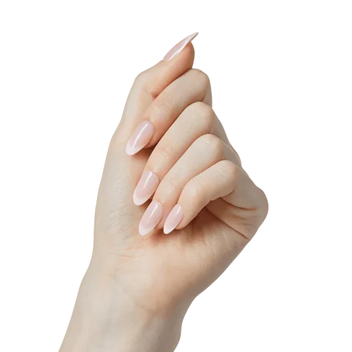 2023-12-08_55759361-0373-4b06-91f6-75d2dbfd9d2b | BEAUTIFY.TIPS