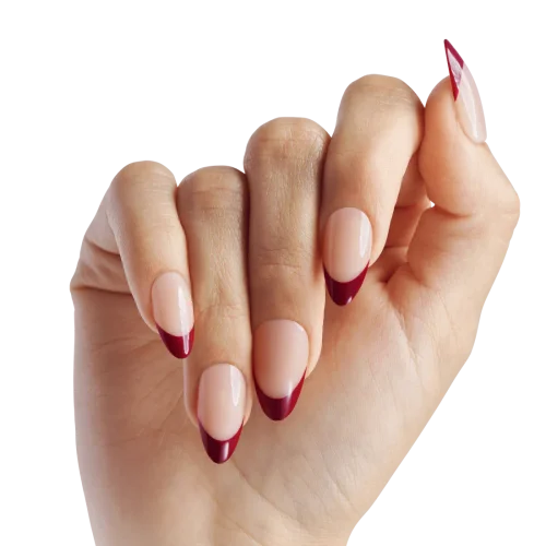 084122dd13f0c0b19805c9165d0108b5133d18a2 1 | BEAUTIFY.TIPS