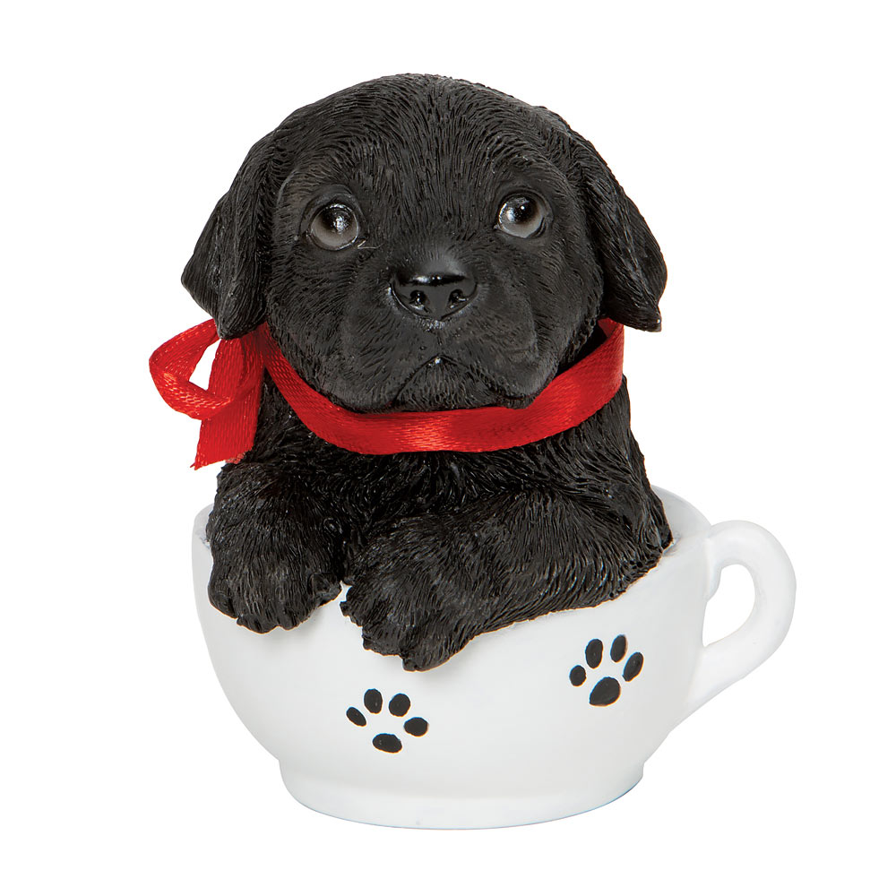 Teacup Puppies Black Lab Bits and Pieces