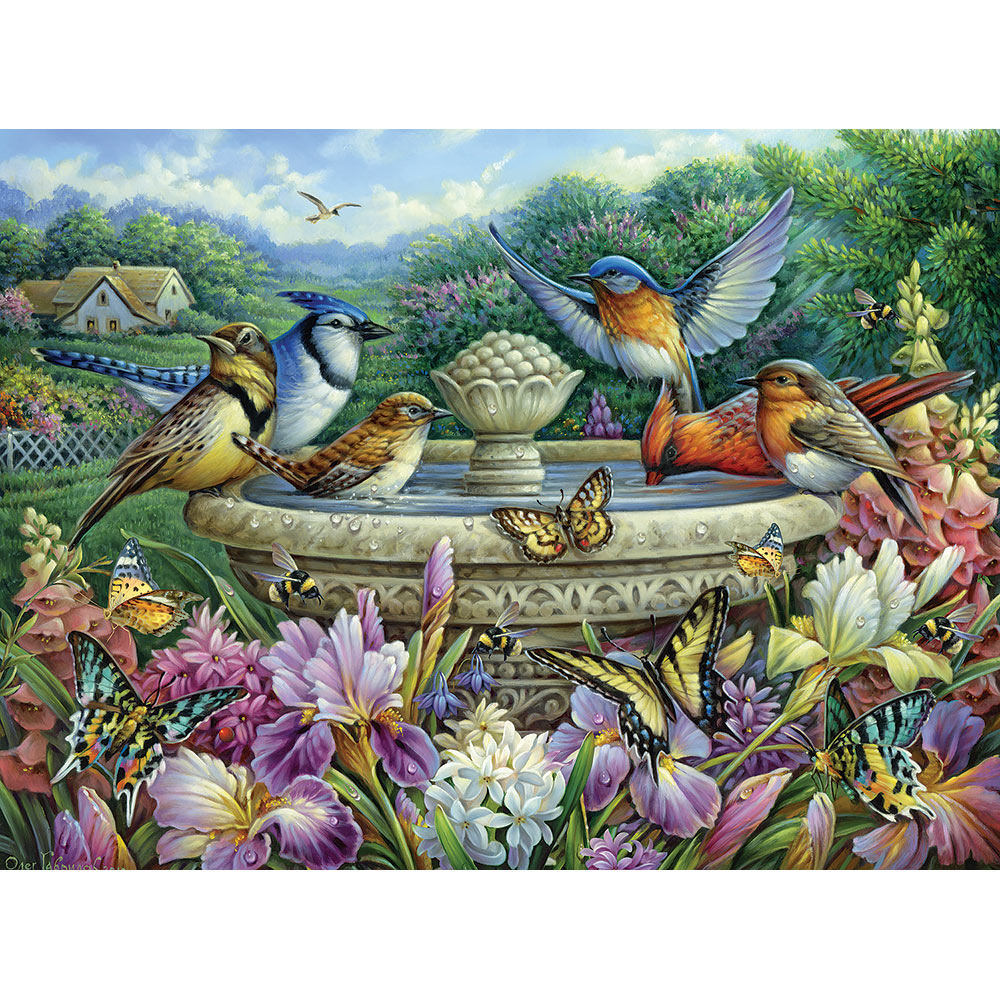 Summer Garden Birds 1000 Piece Jigsaw Puzzle Bits and Pieces