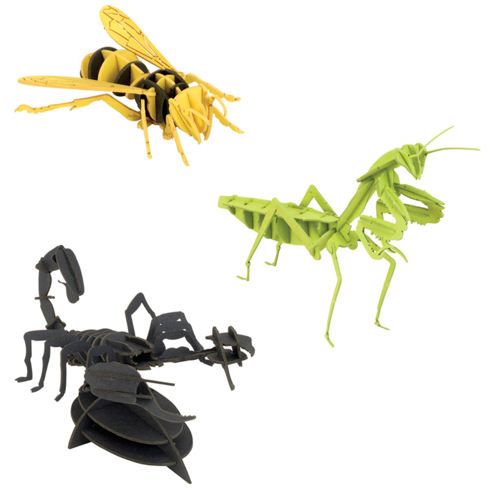 Dimensional Bug Puzzles | Bits and Pieces