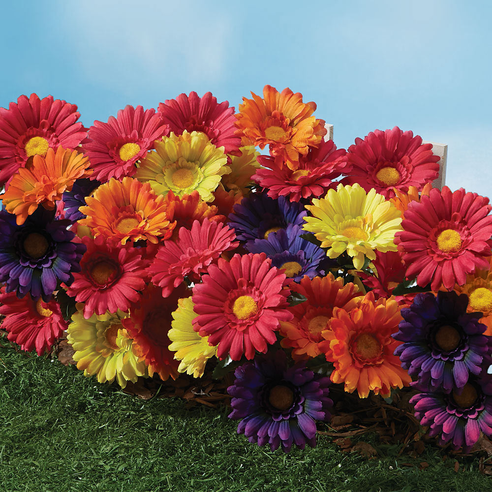 All Weather Forever Blooms Colorful Daisy Bits and Pieces