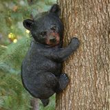 Bear Cub Up A Tree Animal Tree Hugger