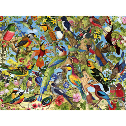 Fantastic Birds 500 Piece Jigsaw Puzzle Bits and Pieces