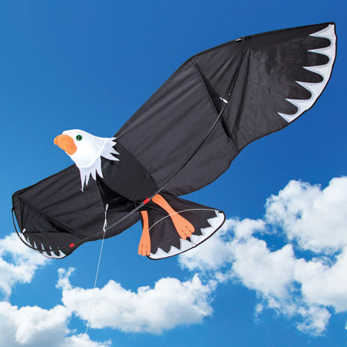 Giant Bald Eagle Kite Bits and Pieces