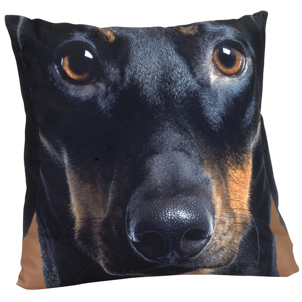 Dog Face Pillow Dachshund Bits and Pieces