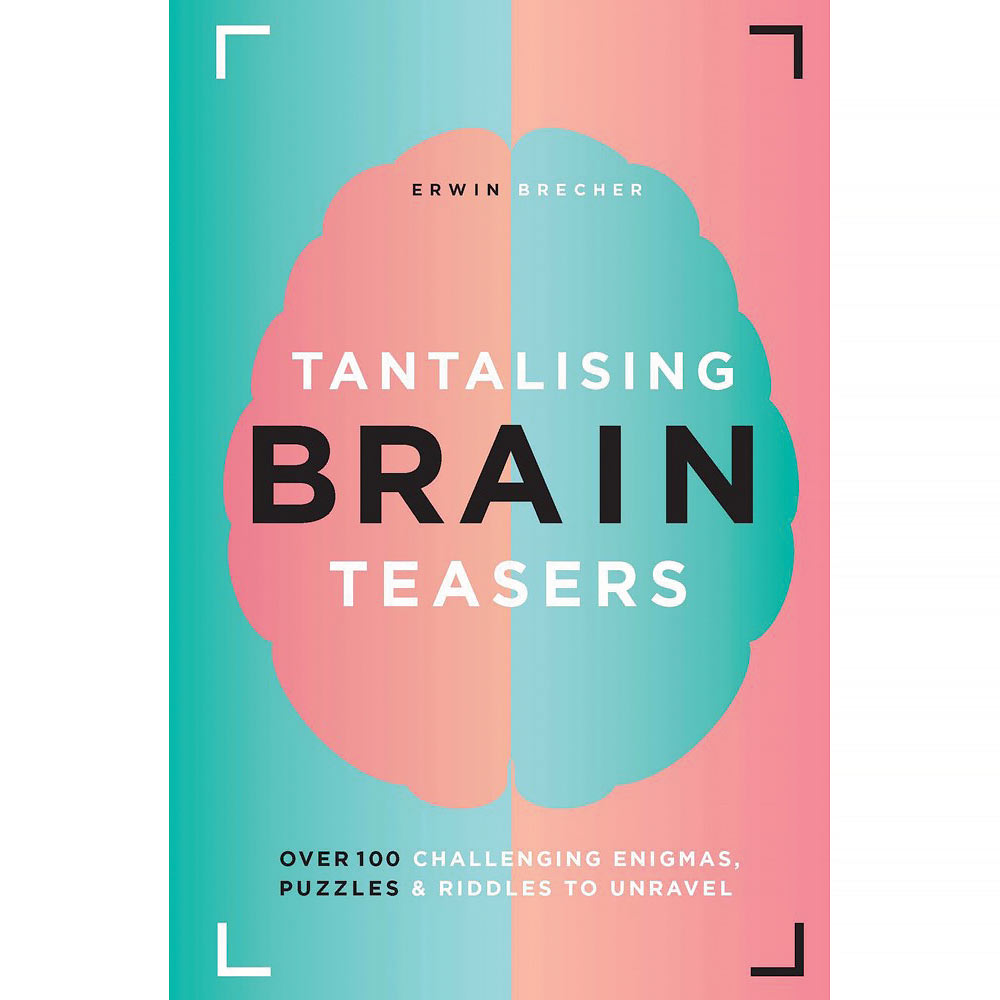 Tantalizing Brain Teasers Book Bits and Pieces