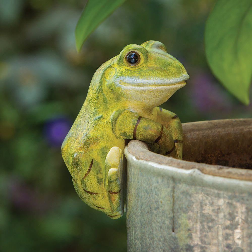 Frog Pot Hanger | Bits and Pieces UK