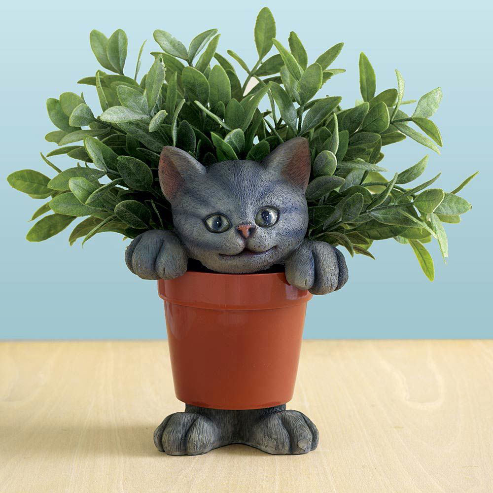 cat planter outdoor