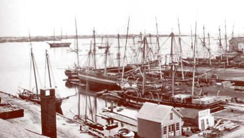 New Bedford Harbor in the Era of William Henry "Squire" Johnson New Bedford Harbor in the Era of William Henry "Squire" Johnson