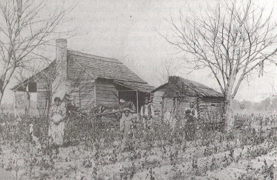 Sharecroppers in the Post-Civil War South Sharecroppers in the Post-Civil War South