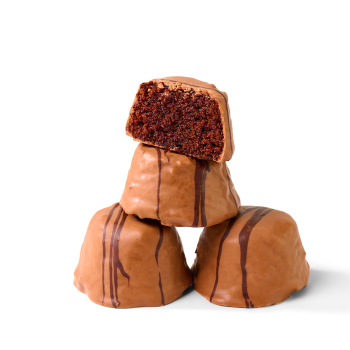 Double Chocolate Cake Bites