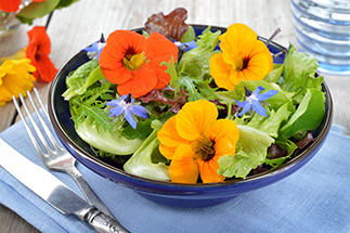 edible nasturtium flowers in salad