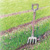 soil builder