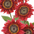 rouge royale sunflower