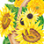 elves blend sunflower