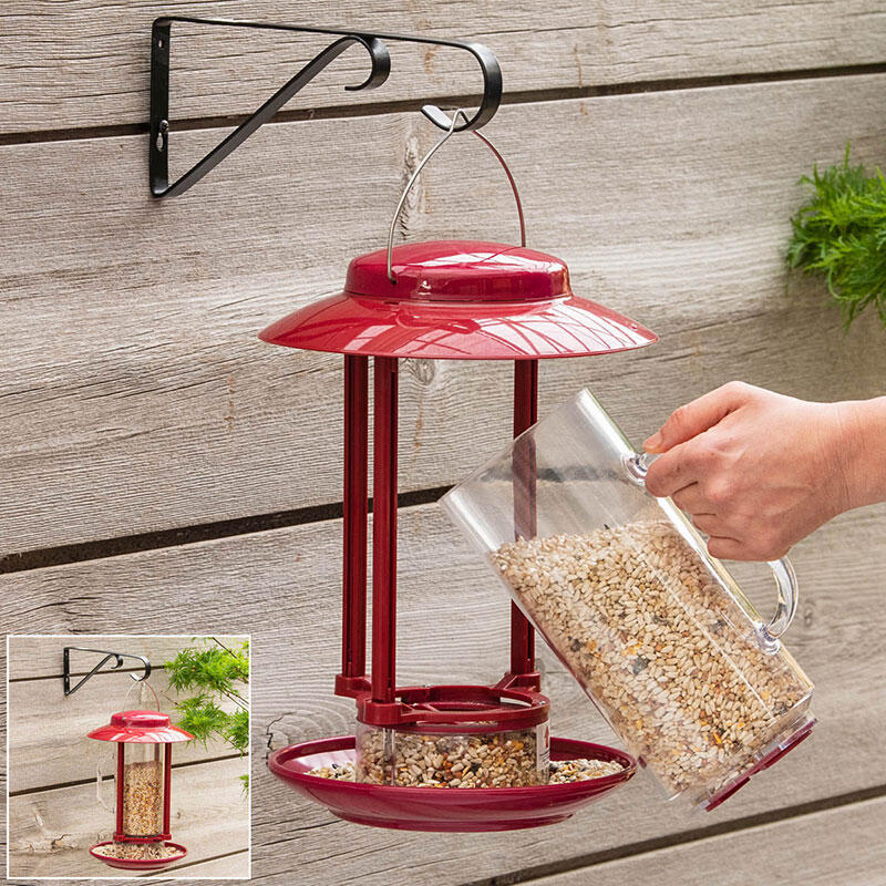 Buy Scooper Bird Feeder Online Backyard Birding Breck's