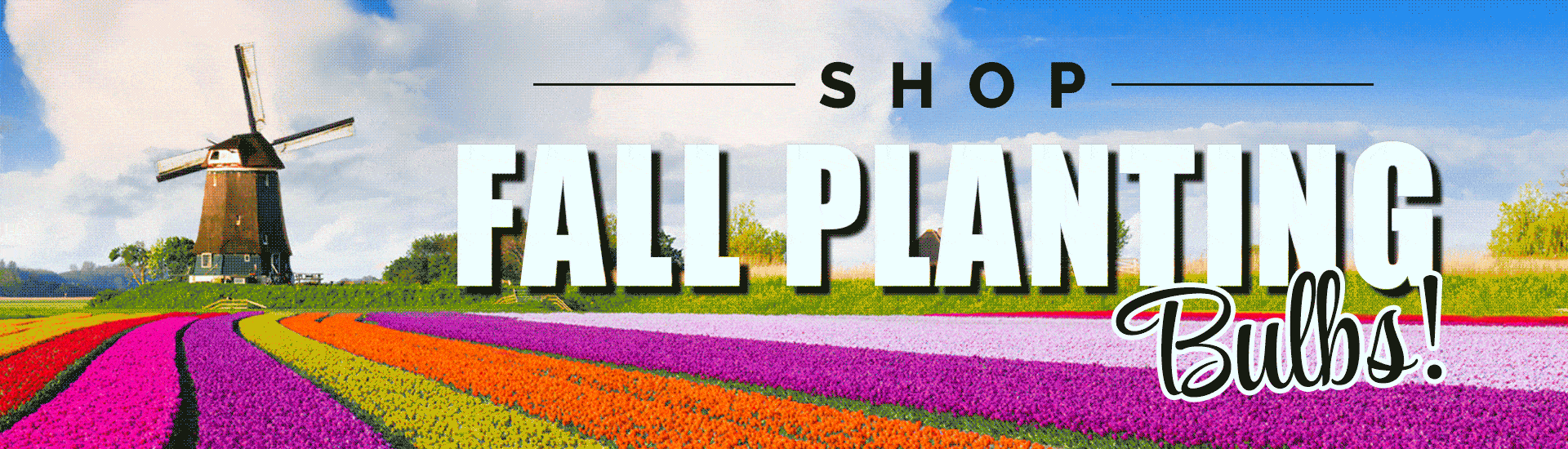 Breck's Canada Direct to you from Holland since 1818