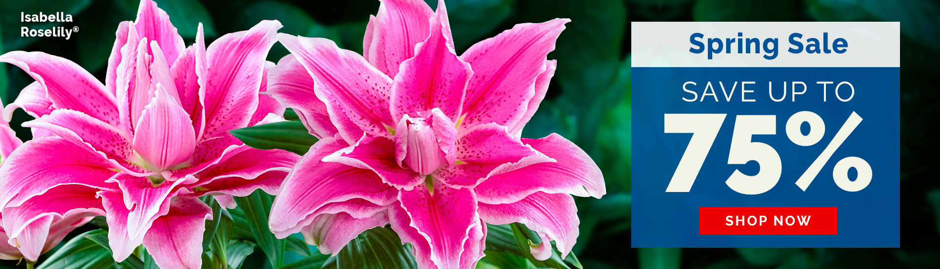 Breck's Canada Direct to you from Holland since 1818