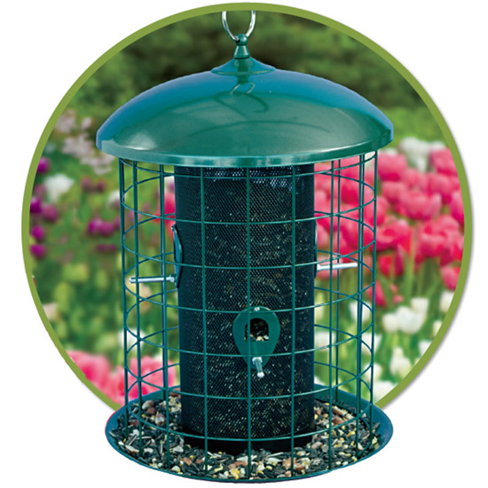 SquirrelProof Bird Feeder