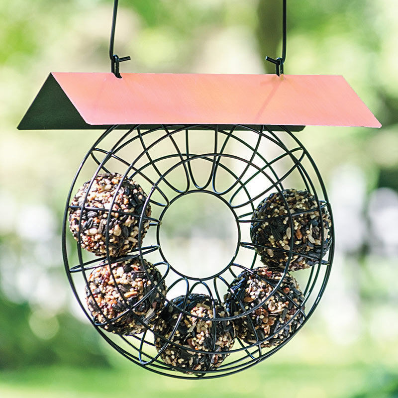 Seed Ball Bird Feeder