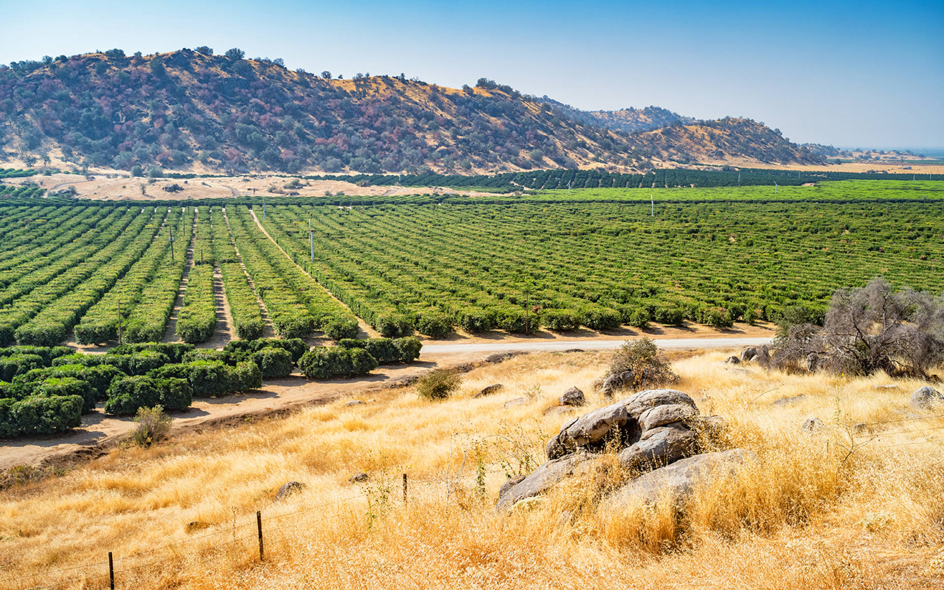 The Cope Real Estate Team Home Values