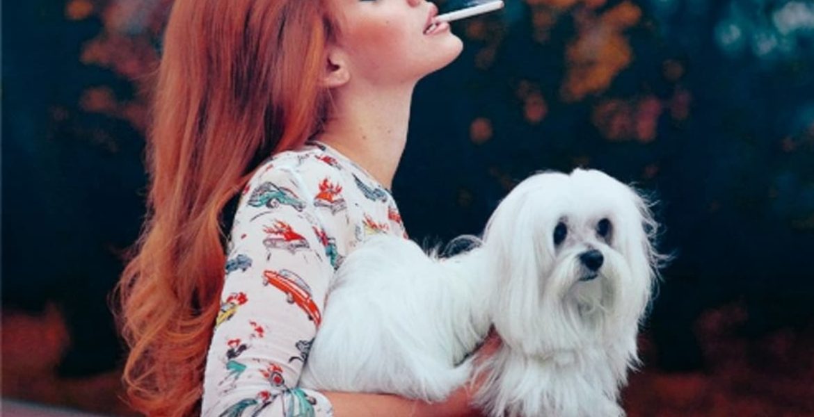 fumar frente a mascotas