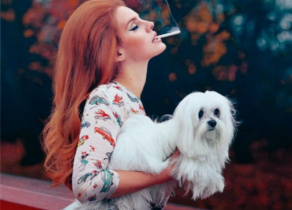 fumar frente a mascotas