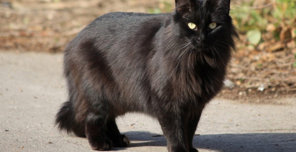 ritos y supersticiones