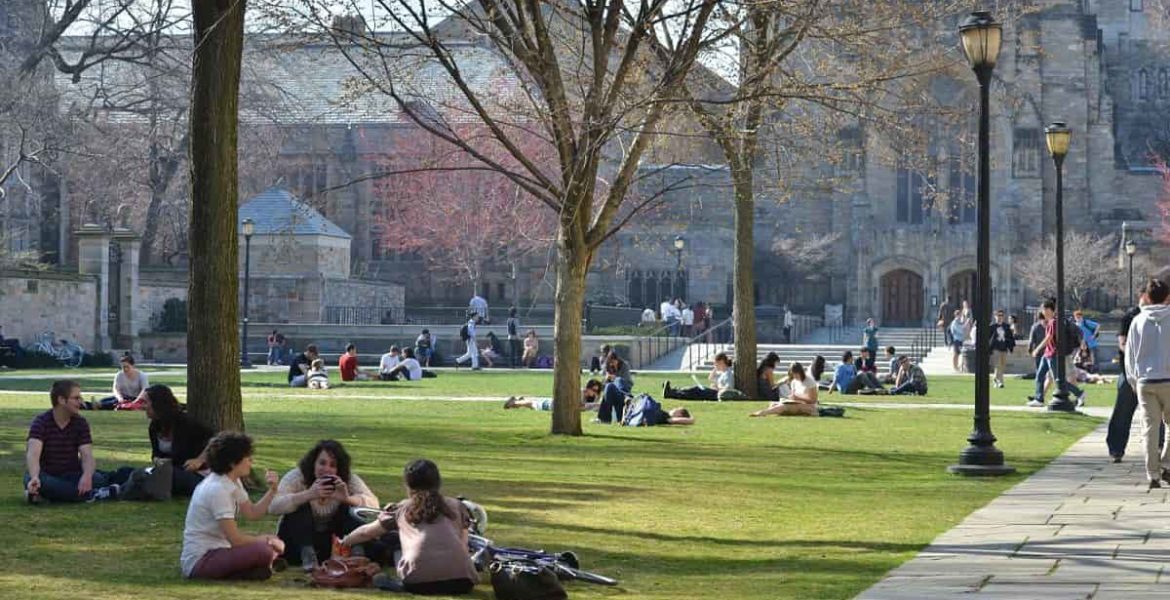 becas universitarias