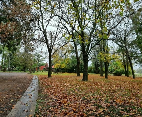 Calidad de vida a puro verde: un club de campo a pasos de la ciudad 39 Calidad de vida a puro verde: un club de campo a pasos de la ciudad 38