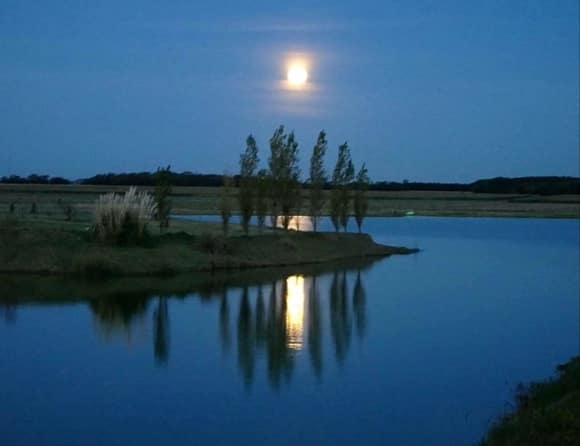 Calidad de vida a puro verde: un club de campo a pasos de la ciudad 41 Calidad de vida a puro verde: un club de campo a pasos de la ciudad 40