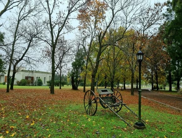 Calidad de vida a puro verde: un club de campo a pasos de la ciudad 47 Calidad de vida a puro verde: un club de campo a pasos de la ciudad 46