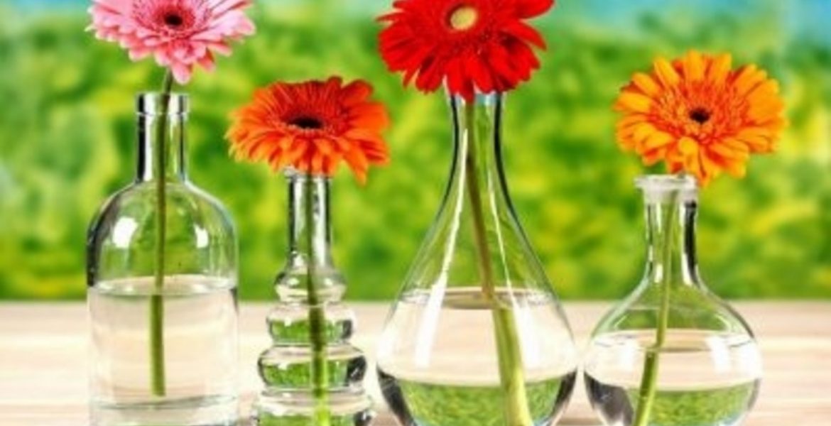 como alargar la vida de las flores
