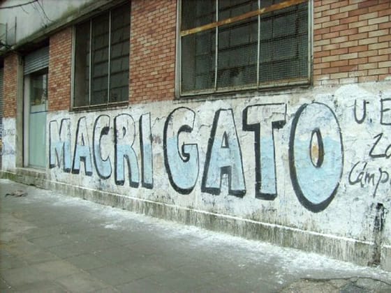 macri gato