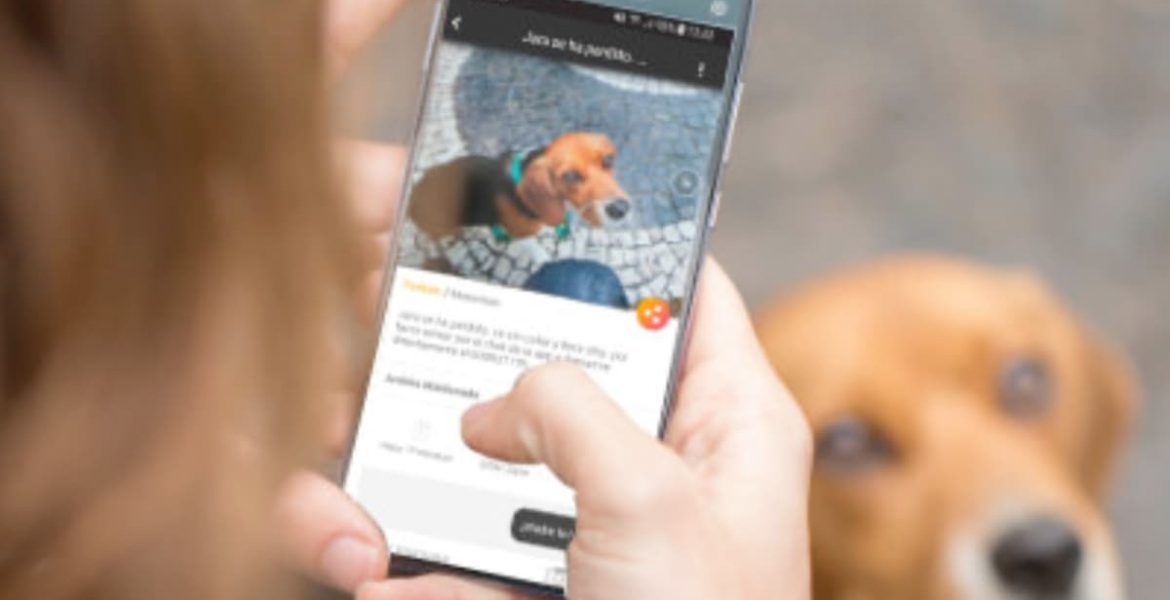 Aplicaciones para mascotas