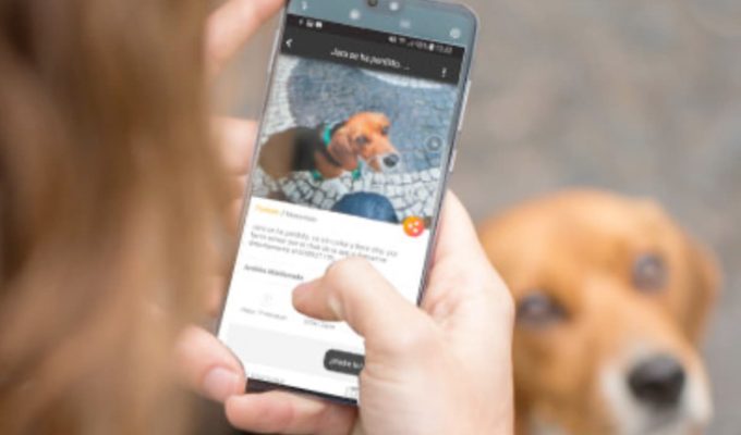 Teléfono con aplicaciones para mascotas