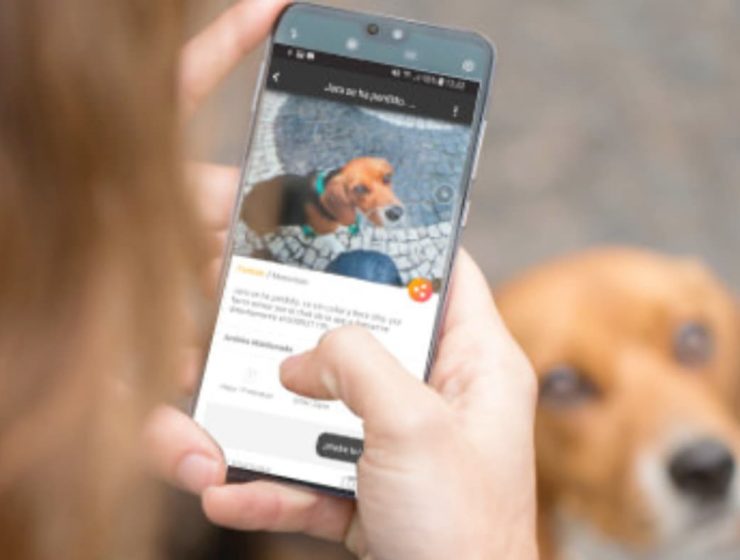 Teléfono con aplicaciones para mascotas