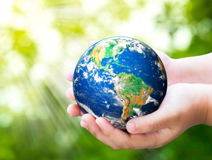 La biodiversidad se degrada a una velocidad sin precedentes 15 biodiversidad